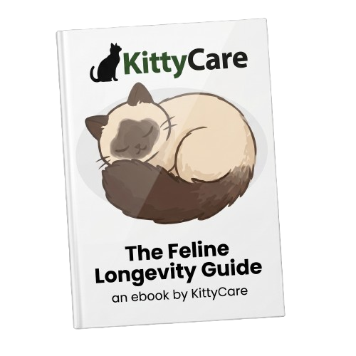 The Feline Longevity Guide