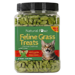 KittyCare